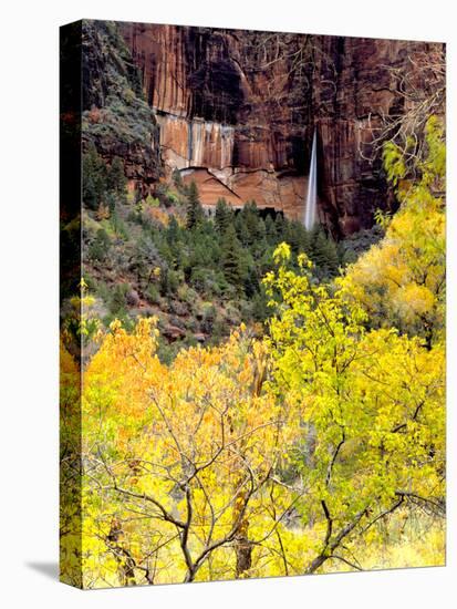 Ephemeral Waterfall, Zion National Park, Utah, USA-Scott T. Smith-Stretched Canvas