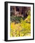 Ephemeral Waterfall, Zion National Park, Utah, USA-Scott T. Smith-Framed Photographic Print