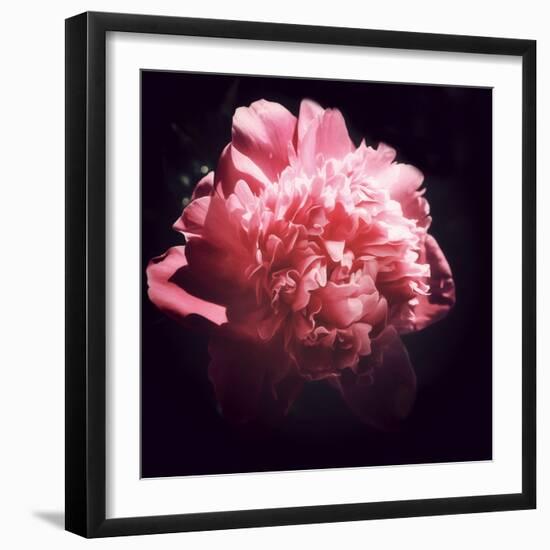 Ephemere Beauty-Philippe Sainte-Laudy-Framed Photographic Print