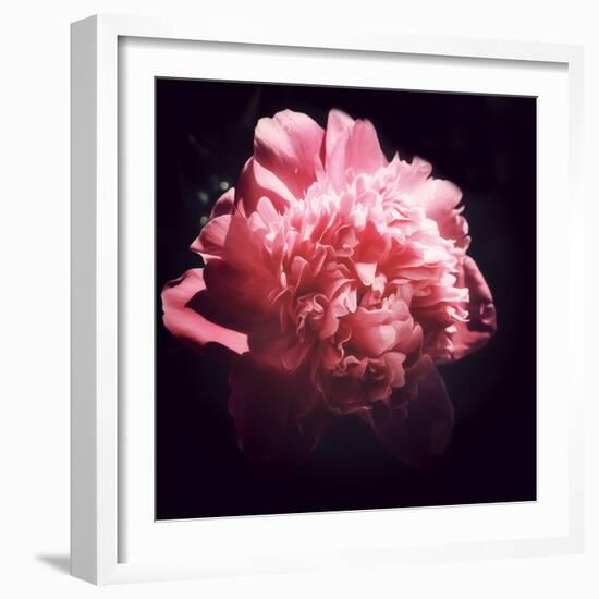 Ephemere Beauty-Philippe Sainte-Laudy-Framed Photographic Print