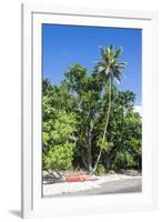 Epi Island, Shepherd Islands, Vanuatu, Pacific-Michael Runkel-Framed Photographic Print