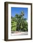 Epi Island, Shepherd Islands, Vanuatu, Pacific-Michael Runkel-Framed Photographic Print