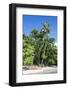 Epi Island, Shepherd Islands, Vanuatu, Pacific-Michael Runkel-Framed Photographic Print