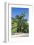 Epi Island, Shepherd Islands, Vanuatu, Pacific-Michael Runkel-Framed Photographic Print