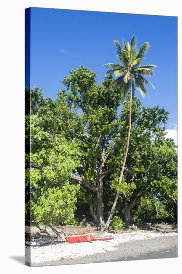 Epi Island, Shepherd Islands, Vanuatu, Pacific-Michael Runkel-Stretched Canvas