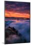 Epic Bay Area Sunrise, June 4, 2016 - San Francisco-Vincent James-Mounted Photographic Print