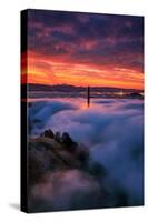 Epic Bay Area Sunrise, June 4, 2016 - San Francisco-Vincent James-Stretched Canvas