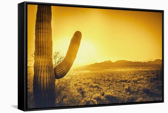 Epic Desert Sunset over Valley of the Sun, Phoenix, Scottsdale, Arizona with Saguaro Cactus in Fore-BCFC-Framed Stretched Canvas