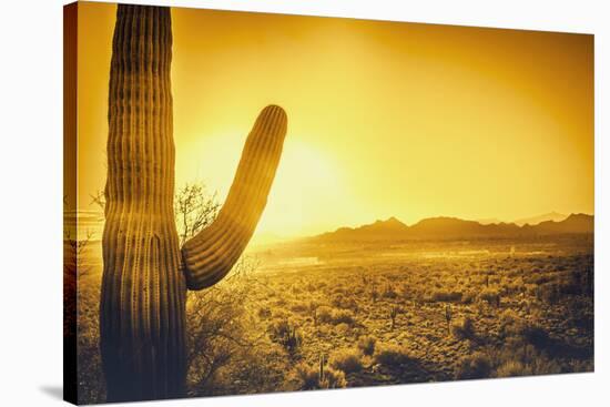 Epic Desert Sunset over Valley of the Sun, Phoenix, Scottsdale, Arizona with Saguaro Cactus in Fore-BCFC-Stretched Canvas