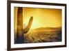 Epic Desert Sunset over Valley of the Sun, Phoenix, Scottsdale, Arizona with Saguaro Cactus in Fore-BCFC-Framed Premium Photographic Print