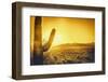 Epic Desert Sunset over Valley of the Sun, Phoenix, Scottsdale, Arizona with Saguaro Cactus in Fore-BCFC-Framed Photographic Print