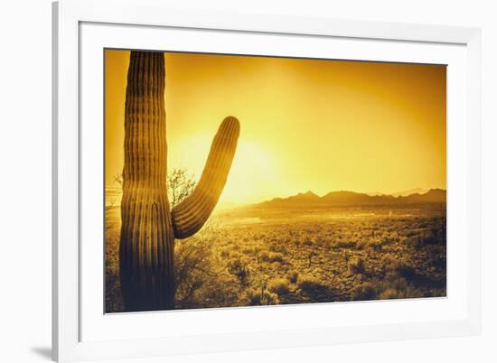 Epic Desert Sunset over Valley of the Sun, Phoenix, Scottsdale, Arizona with Saguaro Cactus in Fore-BCFC-Framed Photographic Print