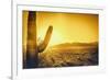 Epic Desert Sunset over Valley of the Sun, Phoenix, Scottsdale, Arizona with Saguaro Cactus in Fore-BCFC-Framed Photographic Print