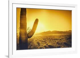 Epic Desert Sunset over Valley of the Sun, Phoenix, Scottsdale, Arizona with Saguaro Cactus in Fore-BCFC-Framed Photographic Print