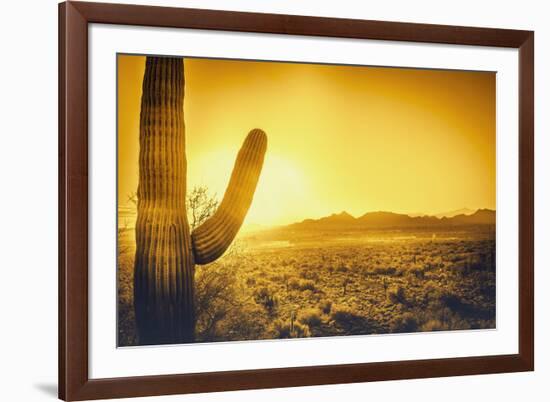 Epic Desert Sunset over Valley of the Sun, Phoenix, Scottsdale, Arizona with Saguaro Cactus in Fore-BCFC-Framed Photographic Print