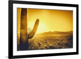 Epic Desert Sunset over Valley of the Sun, Phoenix, Scottsdale, Arizona with Saguaro Cactus in Fore-BCFC-Framed Photographic Print