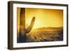 Epic Desert Sunset over Valley of the Sun, Phoenix, Scottsdale, Arizona with Saguaro Cactus in Fore-BCFC-Framed Photographic Print