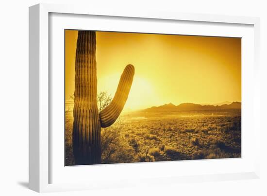 Epic Desert Sunset over Valley of the Sun, Phoenix, Scottsdale, Arizona with Saguaro Cactus in Fore-BCFC-Framed Photographic Print