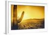 Epic Desert Sunset over Valley of the Sun, Phoenix, Scottsdale, Arizona with Saguaro Cactus in Fore-BCFC-Framed Photographic Print