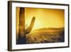 Epic Desert Sunset over Valley of the Sun, Phoenix, Scottsdale, Arizona with Saguaro Cactus in Fore-BCFC-Framed Photographic Print