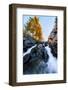 Epic Fall Vision - Fall Color, Bishop Creek Canton, Eastern Sierras California-Vincent James-Framed Photographic Print