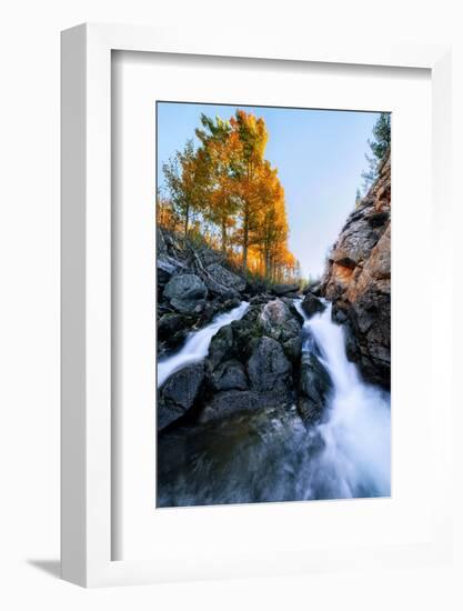 Epic Fall Vision - Fall Color, Bishop Creek Canton, Eastern Sierras California-Vincent James-Framed Photographic Print