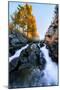 Epic Fall Vision - Fall Color, Bishop Creek Canton, Eastern Sierras California-Vincent James-Mounted Photographic Print