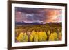 Epic Fall-Dan Ballard-Framed Photographic Print