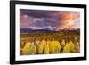 Epic Fall-Dan Ballard-Framed Photographic Print