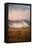 Epic Petaluma Morning Fog, Cows Farm, Northern California Hills-Vincent James-Framed Stretched Canvas