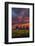 Epic Sunset Sunflowers-Vincent James-Framed Photographic Print