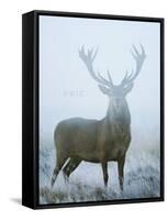 Epic-David Tipling-Framed Stretched Canvas