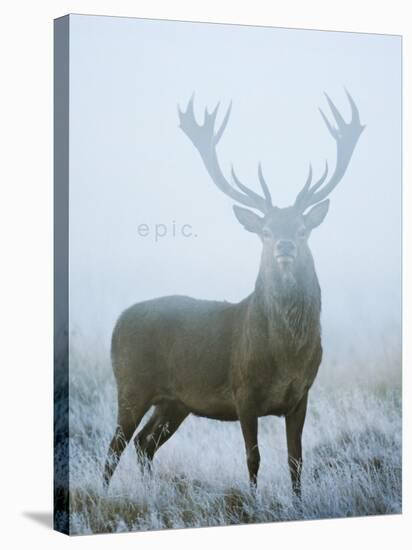 Epic-David Tipling-Stretched Canvas
