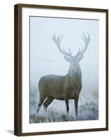 Epic-David Tipling-Framed Art Print