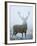 Epic-David Tipling-Framed Art Print