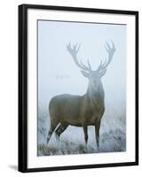 Epic-David Tipling-Framed Art Print