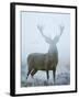 Epic-David Tipling-Framed Art Print