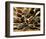 Epices at Cuilleres-Kerth-Framed Art Print