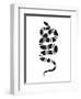 Epidaurus Snake III-Emma Scarvey-Framed Art Print