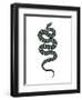 Epidaurus Snake V-Emma Scarvey-Framed Art Print