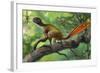 Epidexipteryx Perched on a Branch Ready to Eat a Nearby Spider-null-Framed Premium Giclee Print