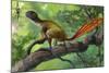 Epidexipteryx Perched on a Branch Ready to Eat a Nearby Spider-null-Mounted Art Print