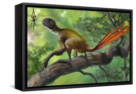 Epidexipteryx Perched on a Branch Ready to Eat a Nearby Spider-null-Framed Stretched Canvas