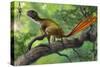 Epidexipteryx Perched on a Branch Ready to Eat a Nearby Spider-null-Stretched Canvas