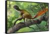 Epidexipteryx Perched on a Branch Ready to Eat a Nearby Spider-null-Framed Stretched Canvas