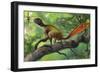 Epidexipteryx Perched on a Branch Ready to Eat a Nearby Spider-null-Framed Art Print