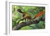 Epidexipteryx Perched on a Branch Ready to Eat a Nearby Spider-null-Framed Art Print