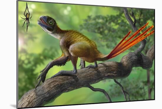 Epidexipteryx Perched on a Branch Ready to Eat a Nearby Spider-null-Mounted Art Print