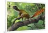 Epidexipteryx Perched on a Branch Ready to Eat a Nearby Spider-null-Framed Art Print