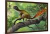 Epidexipteryx Perched on a Branch Ready to Eat a Nearby Spider-null-Framed Art Print